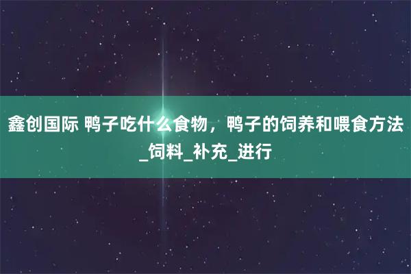 鑫创国际 鸭子吃什么食物，鸭子的饲养和喂食方法_饲料_补充_进行