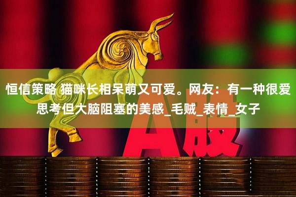 恒信策略 猫咪长相呆萌又可爱。网友：有一种很爱思考但大脑阻塞的美感_毛贼_表情_女子