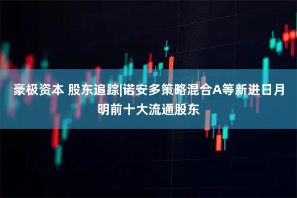 豪极资本 股东追踪|诺安多策略混合A等新进日月明前十大流通股东