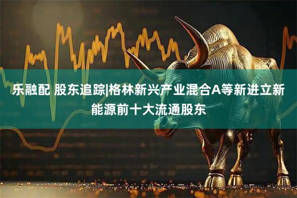 乐融配 股东追踪|格林新兴产业混合A等新进立新能源前十大流通股东