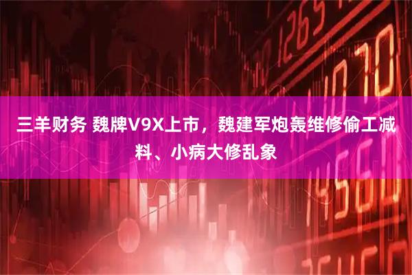 三羊财务 魏牌V9X上市，魏建军炮轰维修偷工减料、小病大修乱象