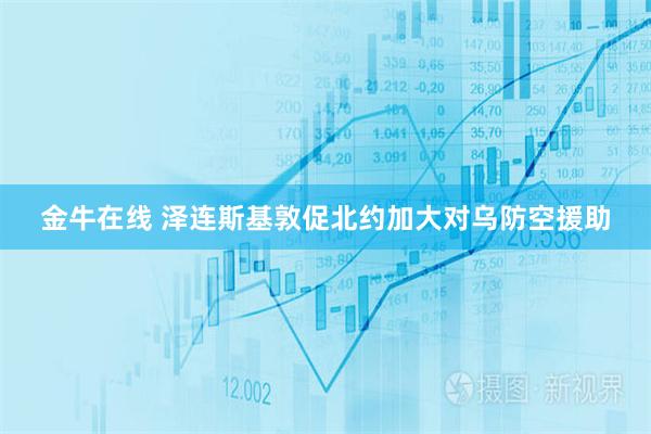 金牛在线 泽连斯基敦促北约加大对乌防空援助